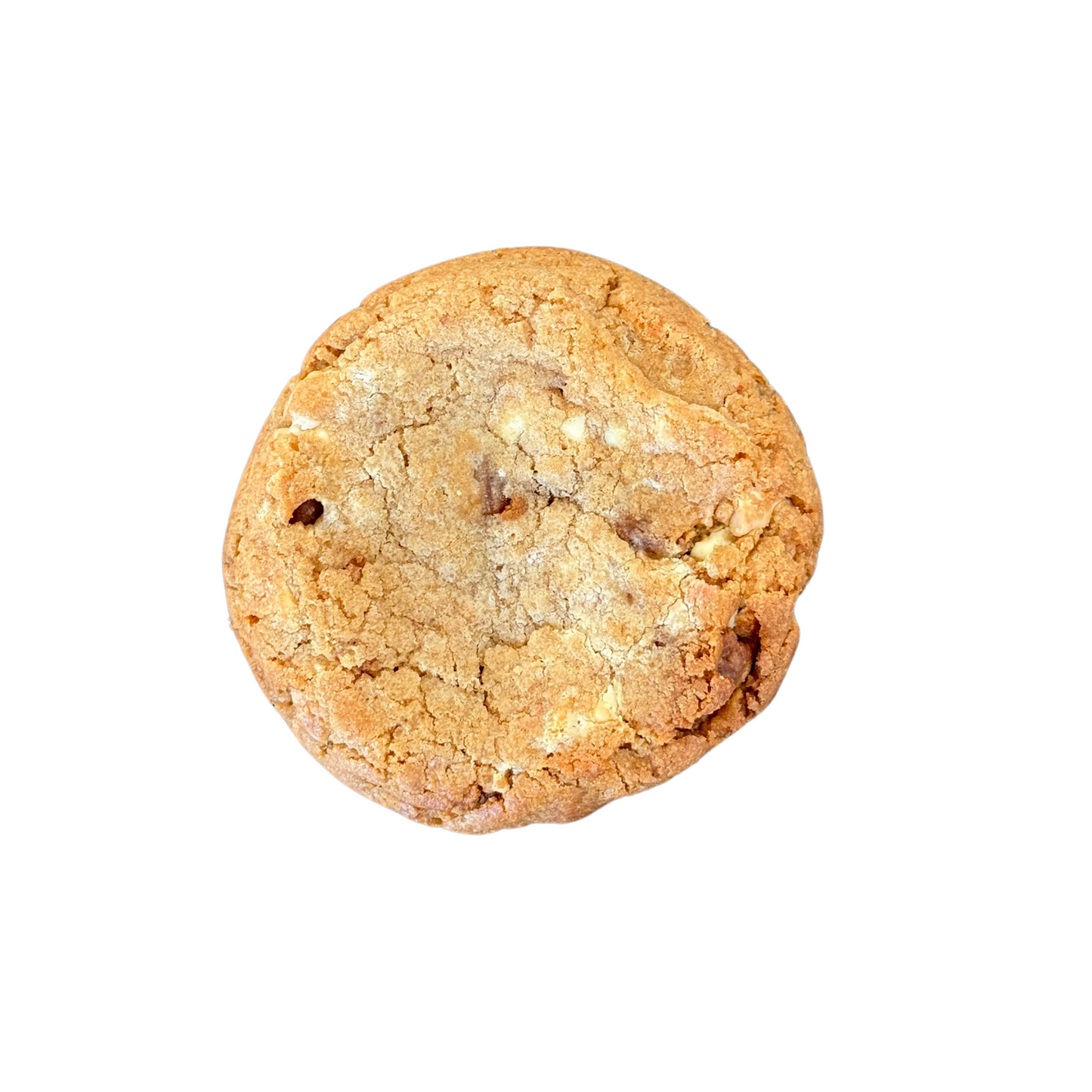 Speculoos Cookies