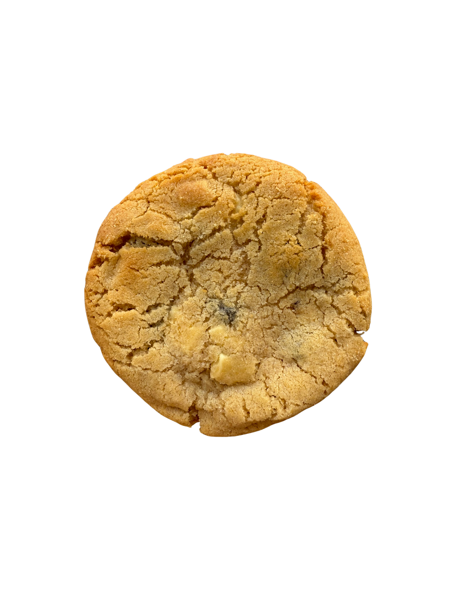 Witte chocolade met cranberry stukjes
